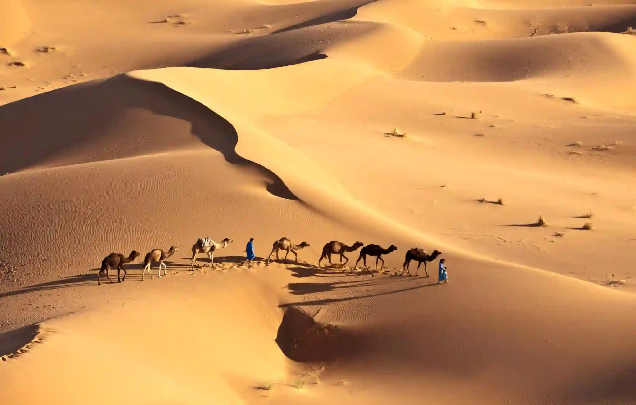 4-Day Tour: Marrakech to Erg Chegaga